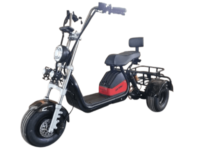 Электроскутер Трицикл Shtenli Model 104 mini li-on 48/12