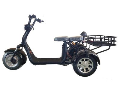 Электроскутер Трицикл Shtenli Model 108 mini li-on 60/20