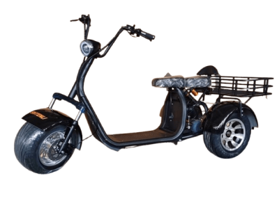 Электроскутер Трицикл Shtenli Model 108 mini li-on 60/20