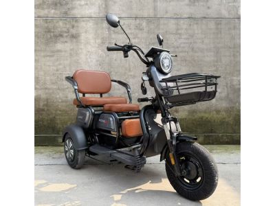 Электрический трицикл SHTENLI Model 31 SLA 20Ач48В