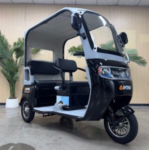 Электрический трицикл SHTENLI Model 44 SLA 72V23AH