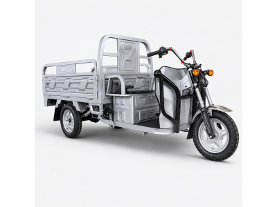 Грузовой Электрический трицикл Shtenli Model 100 60V20A