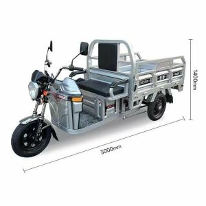 Грузовой Электрический трицикл Shtenli Model 100 72V20A Li-ion